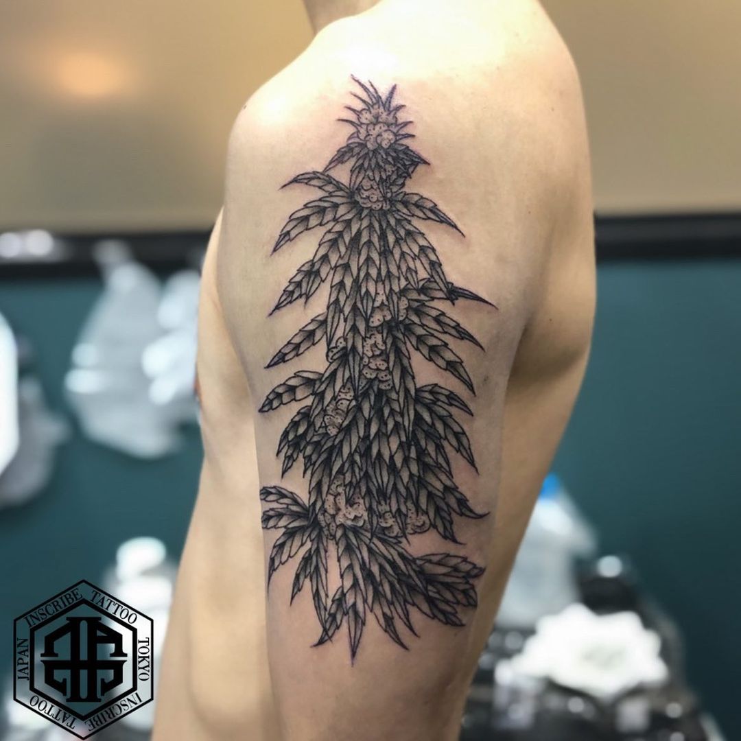大麻 マリファナタトゥー | BLACK&GREY ブラック＆グレー | NEW LIST