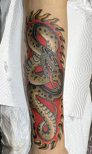 SHIN snake