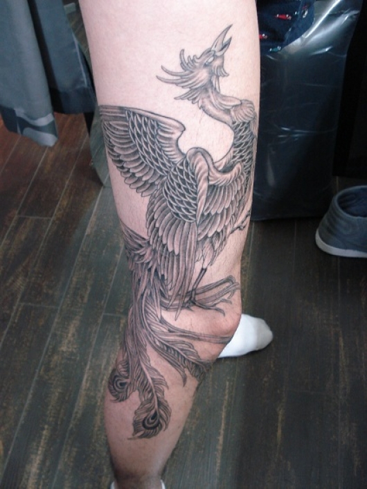 LEG 脚